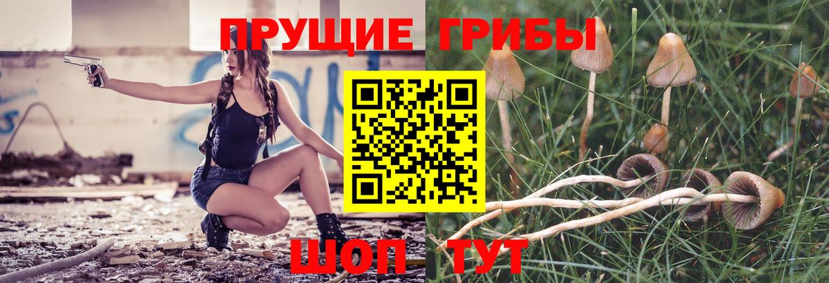 даркнет сайт  Псилоцибиновые грибы MAGIC MUSHROOMS  Вход с VPN  Галлюциногенные грибы Psilocybine cubensis  Новокубанск 